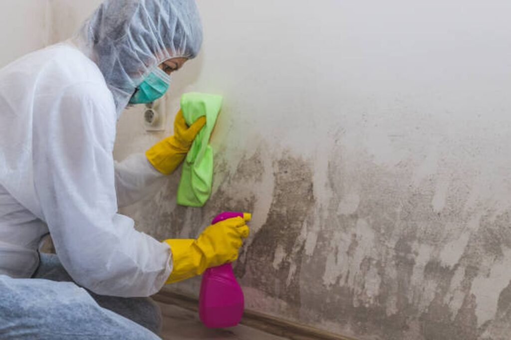 the best mould removal methods for your home