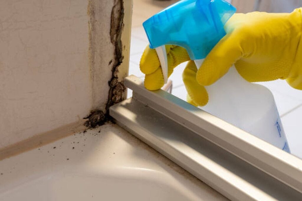 the best mould removal methods for your home (2)
