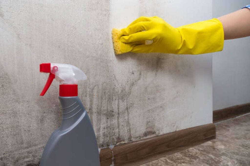 the best mould removal methods for your home (3)