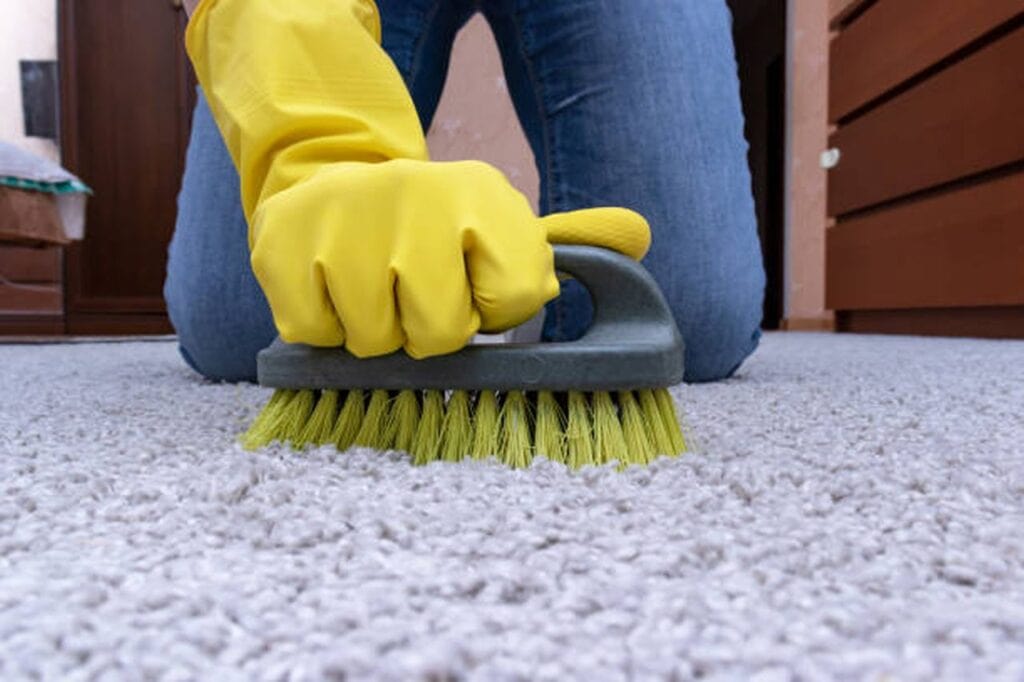 the most important step in keeping a carpet clean