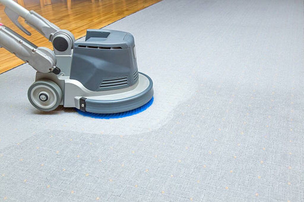 the most important step in keeping a carpet clean (3)