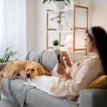 why hire a pet friendly cleaning service